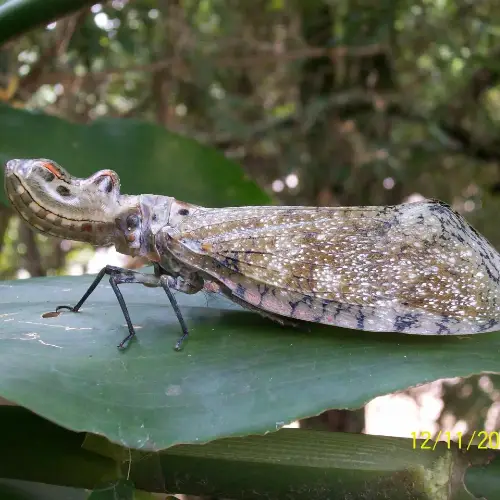 Tours-vivencias-tambopata-peru-adventure