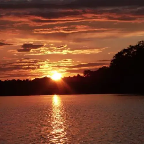 Lake Tambopata Adventura