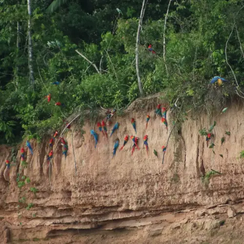 20230518064923_IMG_8174