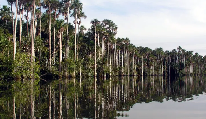 Lake Sandoval