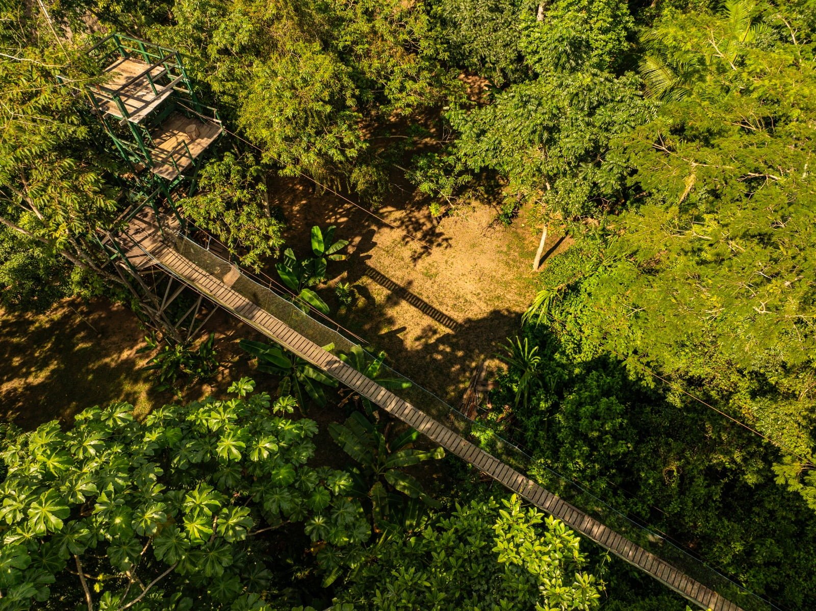 Tronco Tambopata_Drone view 2