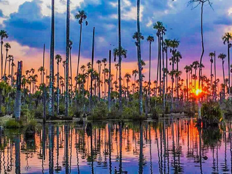 puerto maldonado amazon tours