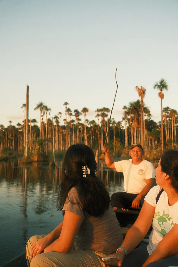 amazon rainforest peru