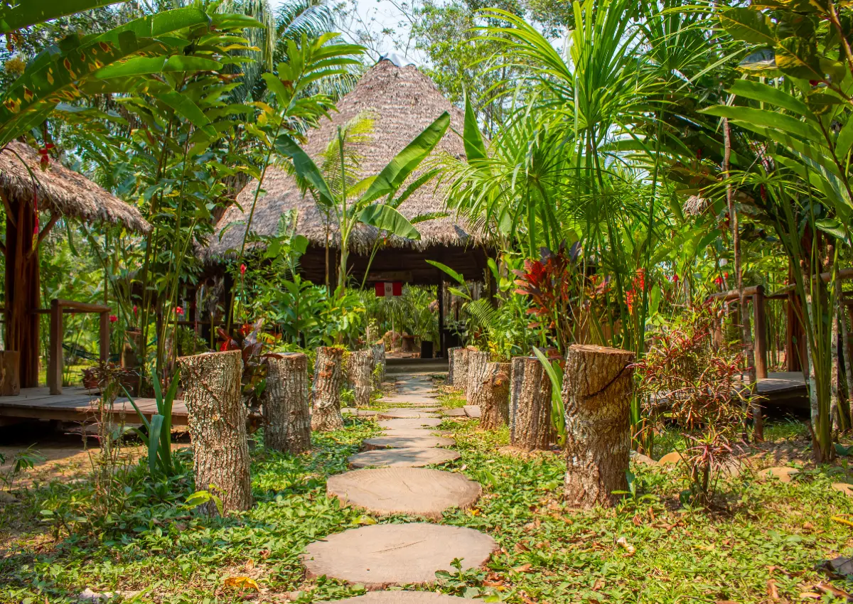 10 Best Puerto Maldonado Tours | Tours You Must Try