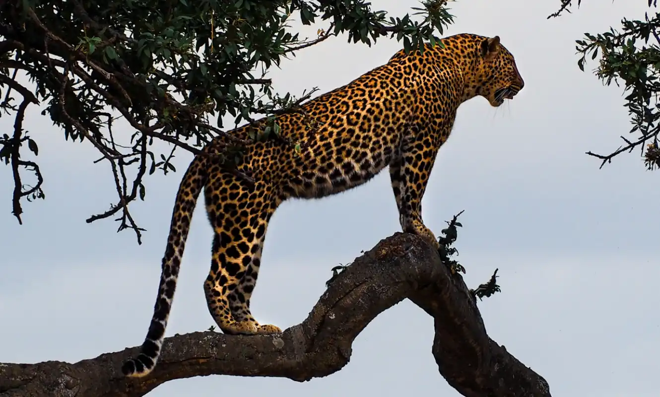 puerto maldonado 2 day tour