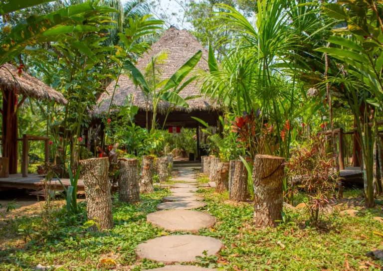 Best Puerto Maldonado Tours