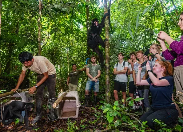 Amazon Authentic Jungle Tours for Backpackers