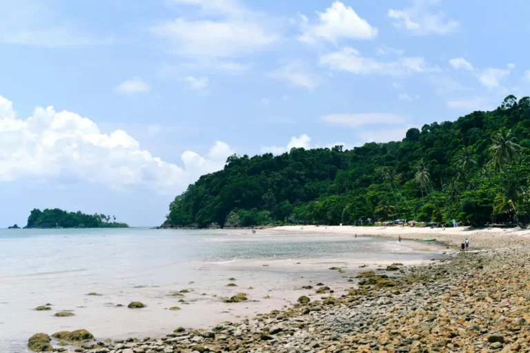 Galapagos and Amazon Jungle Tours