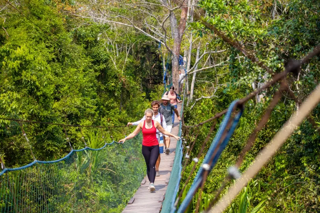 Peru Amazon In February Tour