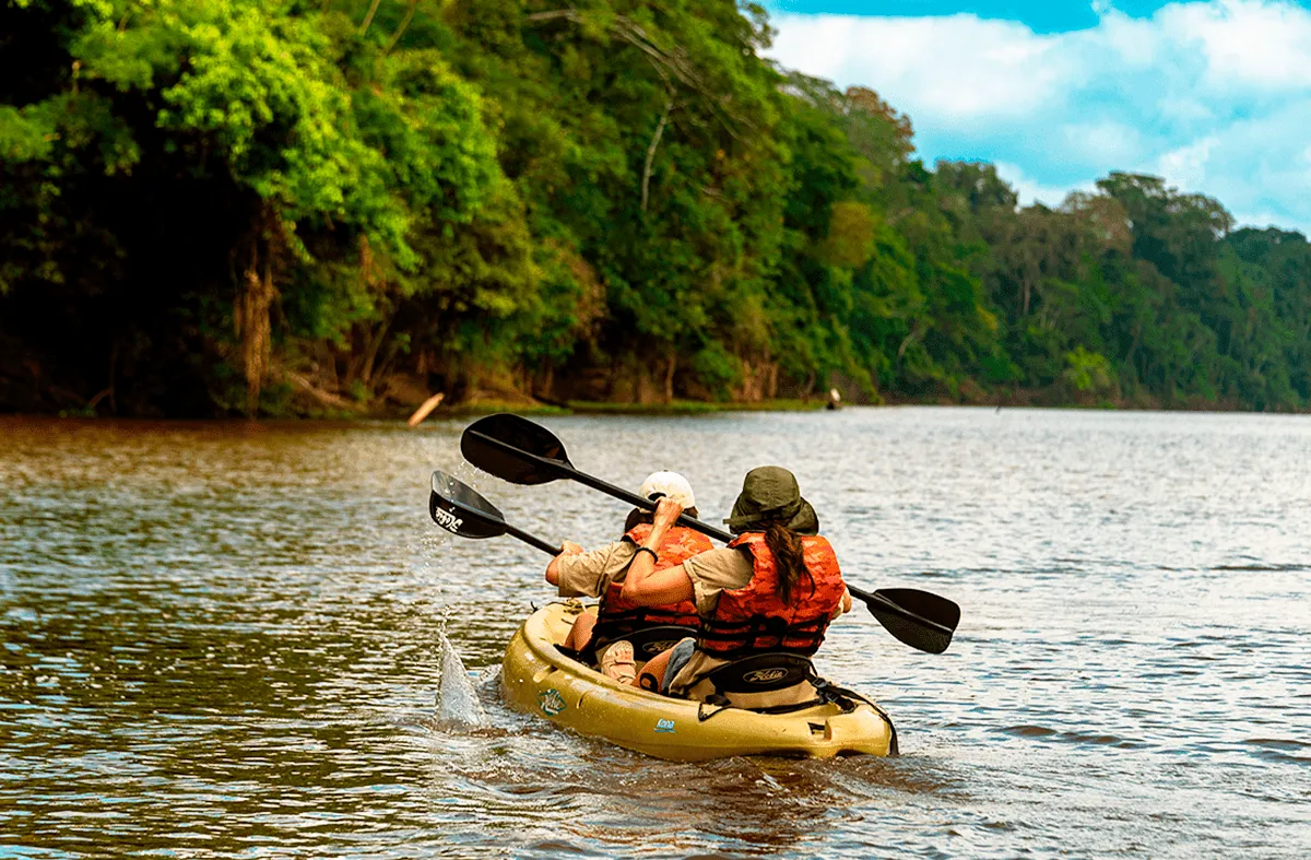 Exploring The Peru Amazon In February: Everything You Need To Know