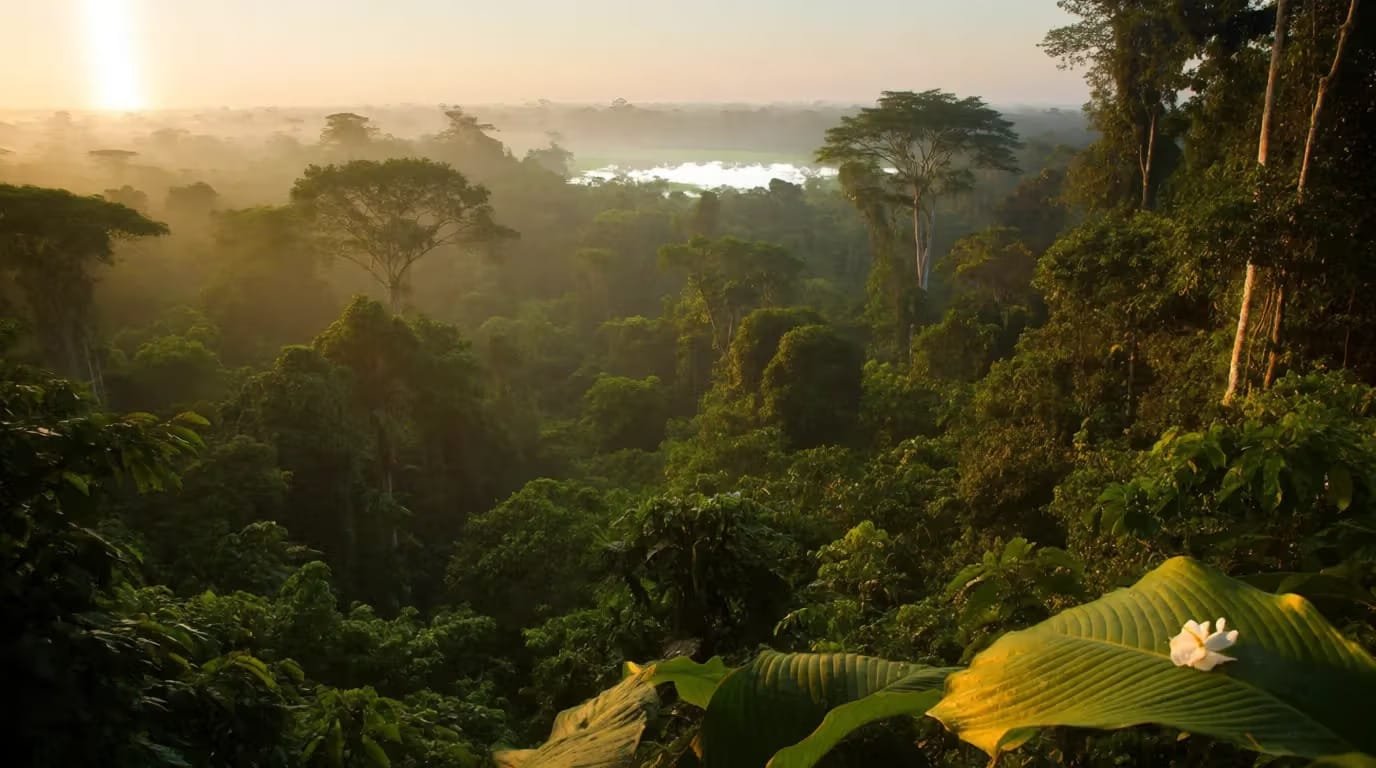 Exploring The Peru Amazon In January: Your Comprehensive Travel Guide