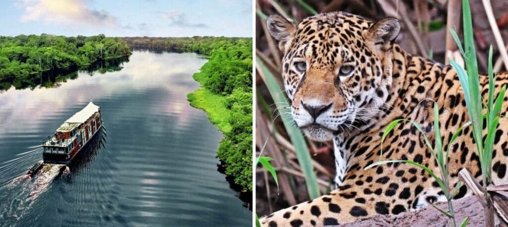 Iquitos Vs Puerto Maldonado Guide