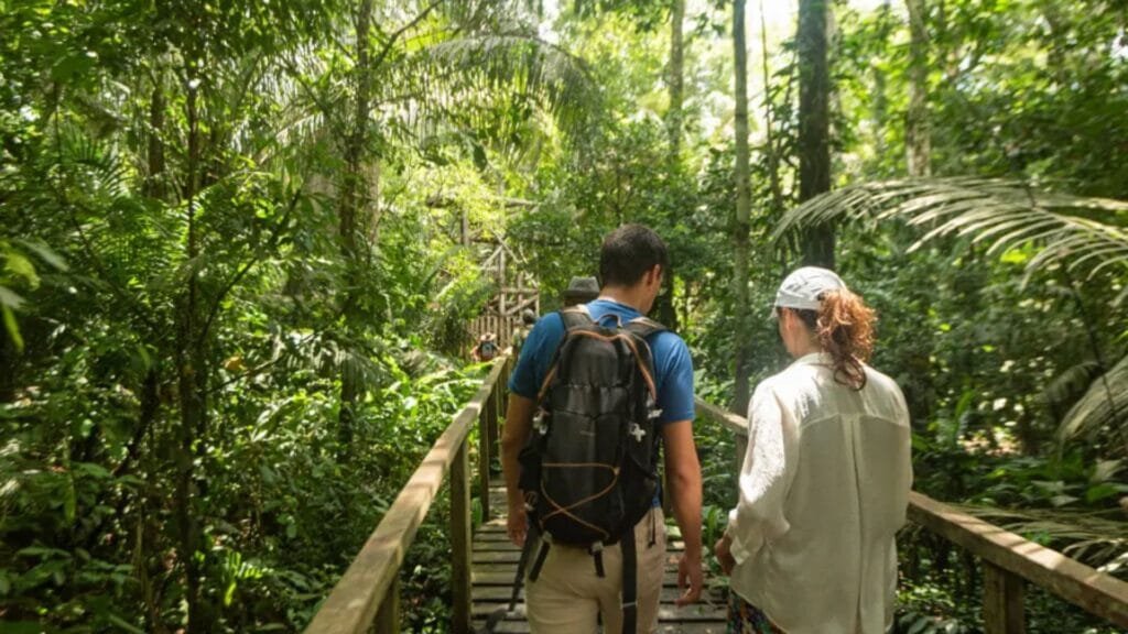 Peru Amazon Rainforest Tour Packages