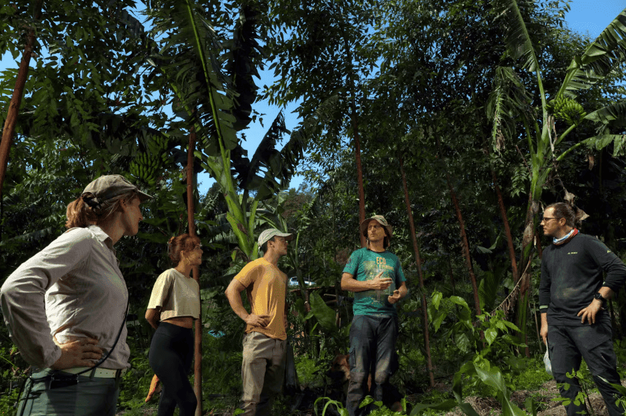 Peru Amazon Rainforest Tour Packages Experiential Tour