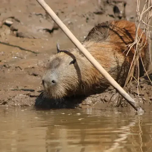 20230518093741_IMG_8207