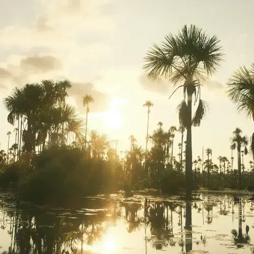 Tambopata Tours Adventure 8