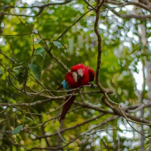 Tambopata Tours Adventure 9