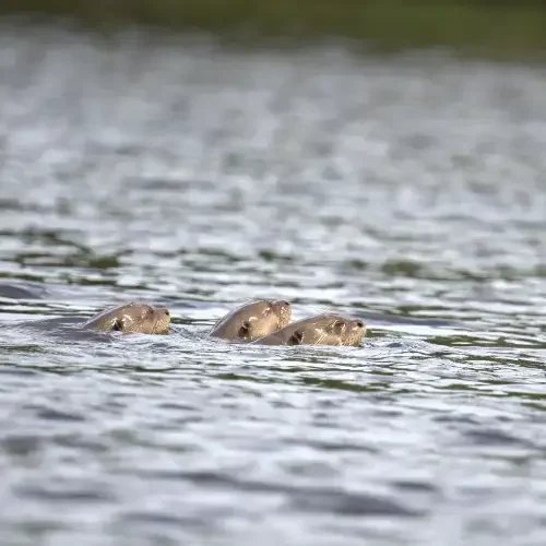 Tambopata tours adventure 3