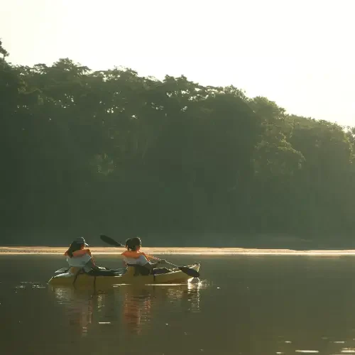 Walk-on-lake-tambopata